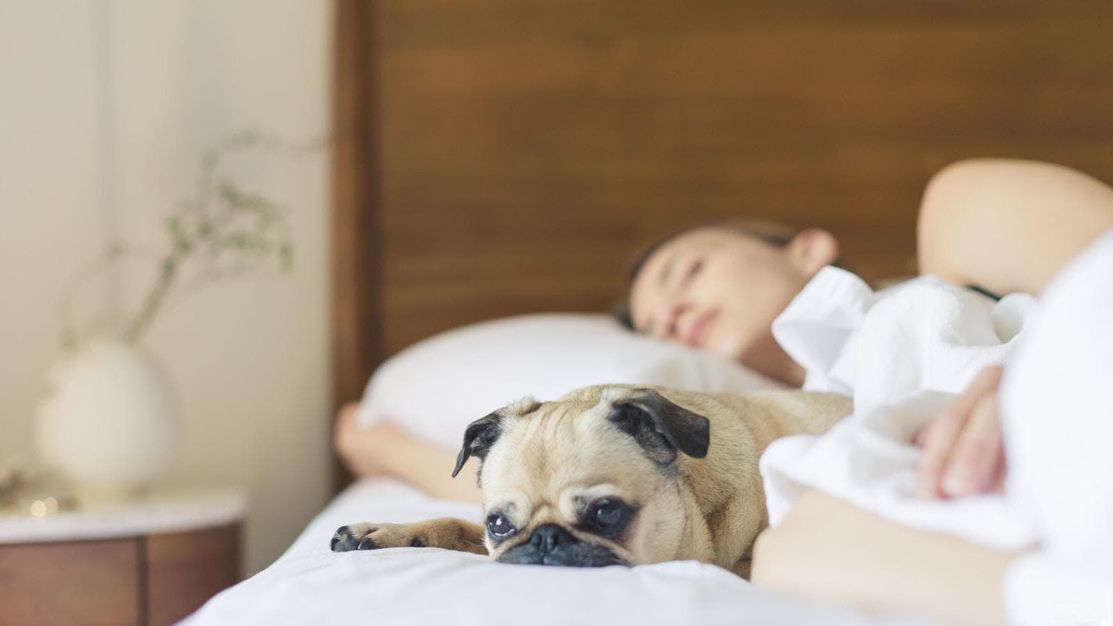 如何调整生物钟改善睡眠