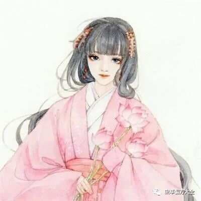 北沙参的功效与作用