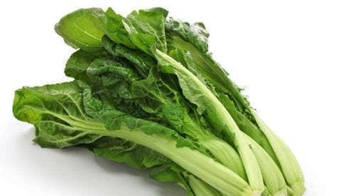 芥菜——一种常见的蔬菜（形态特征、食用价值及栽培方法）