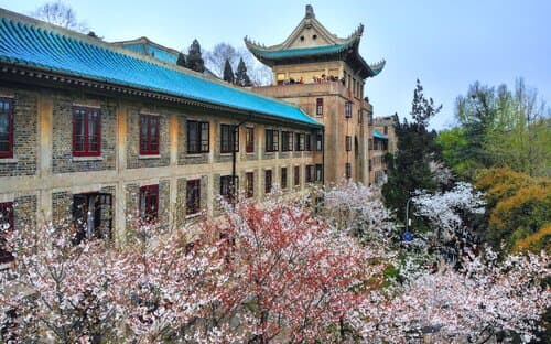 武汉大学樱园
