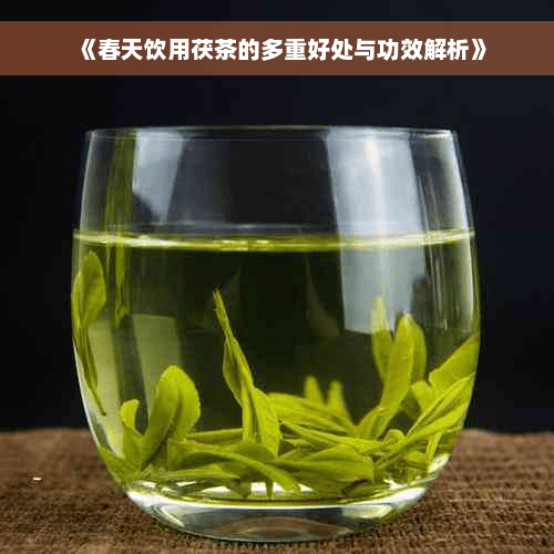 春天饮用茯茶的多重好处与功效解析