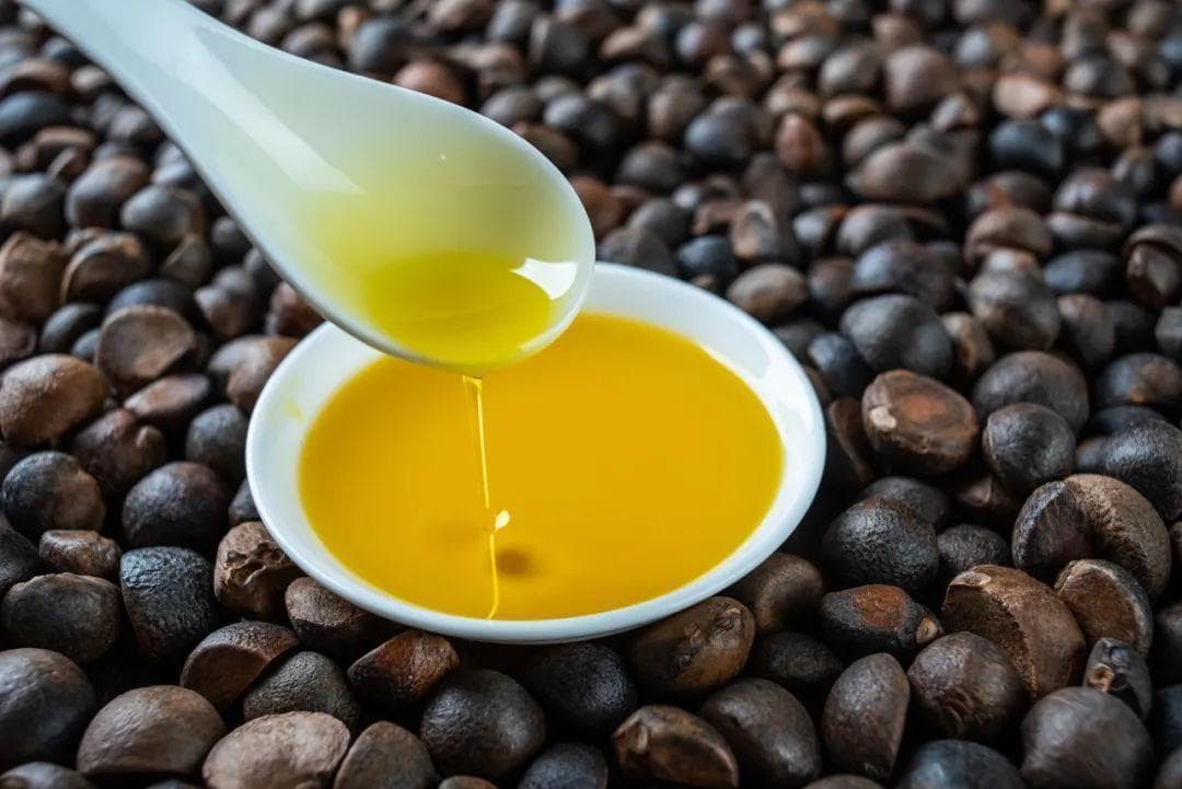 吃山茶油的好处只有这一个，跟你想的不一样！
