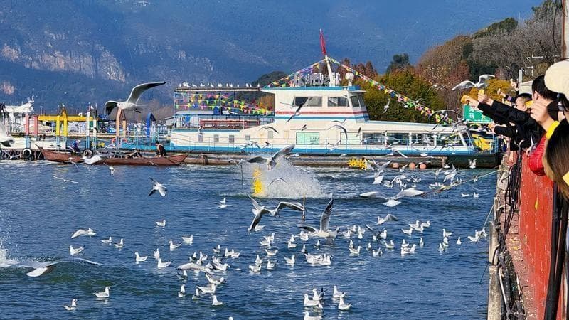 39年，写就一段人鸥和谐的故事