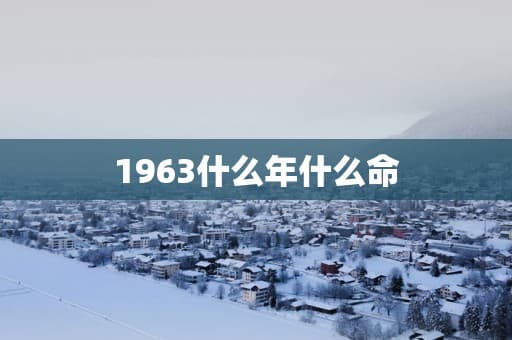 1963：一个充满变革与动荡的年份