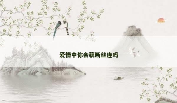 爱情中你会藕断丝连吗