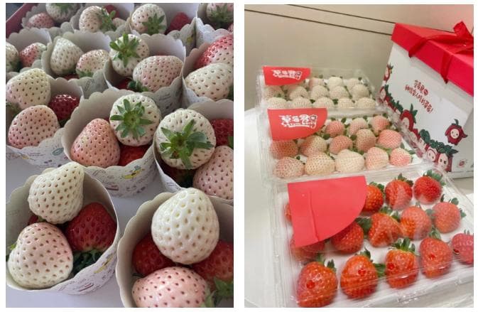 这样的草莓，劝你不要买！一文了解