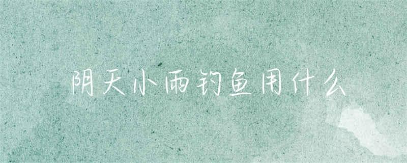 阴天小雨钓鱼用什么
