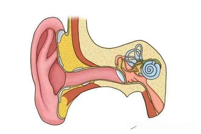 有一种眩晕叫“耳石症”，可从4个方面来鉴别