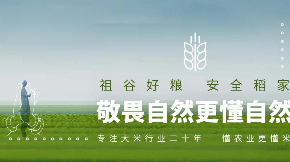 大米变身记：了解不同加工程度的营养差异