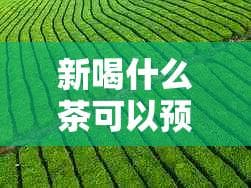 新喝什么茶可以预防和缓解心血管疾病？