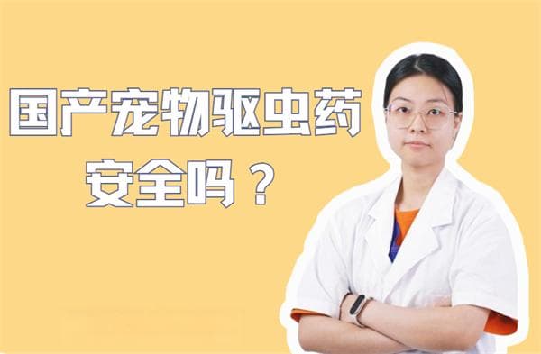 国产宠物驱虫药安全吗？选购指南来了