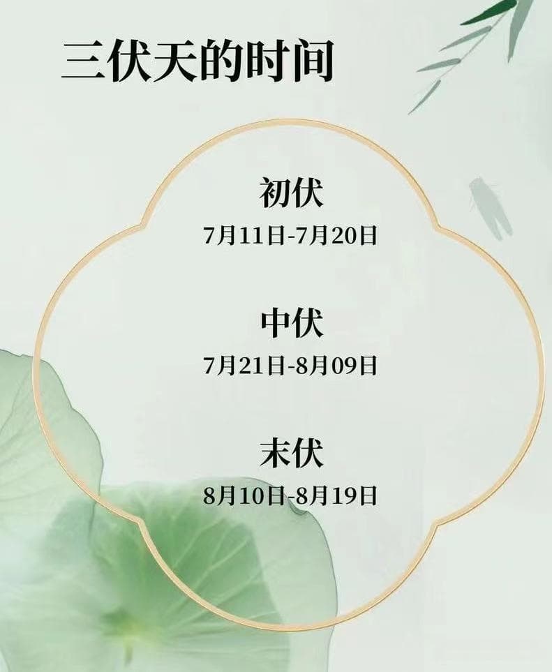 三伏天养生指南：从饮食到生活作息的全方位调养