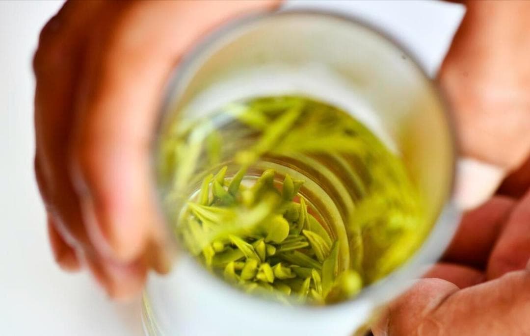 不能多喝的4种茶，1种伤肾，1种毁肠道，还有2种会致癌