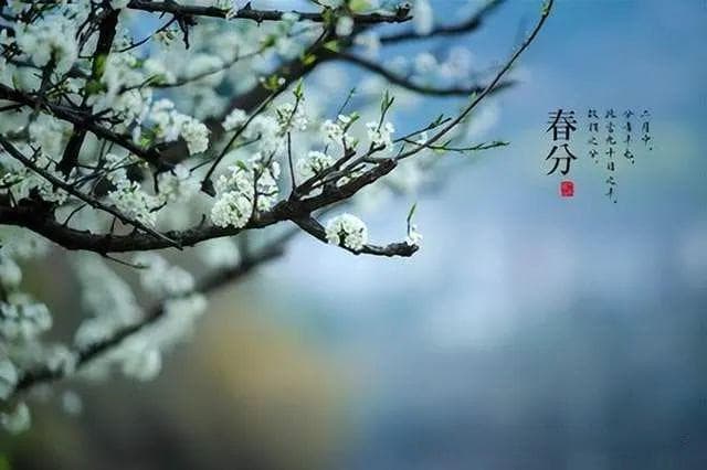 春分，2025年第四个节气暨春季第四个节令事宜