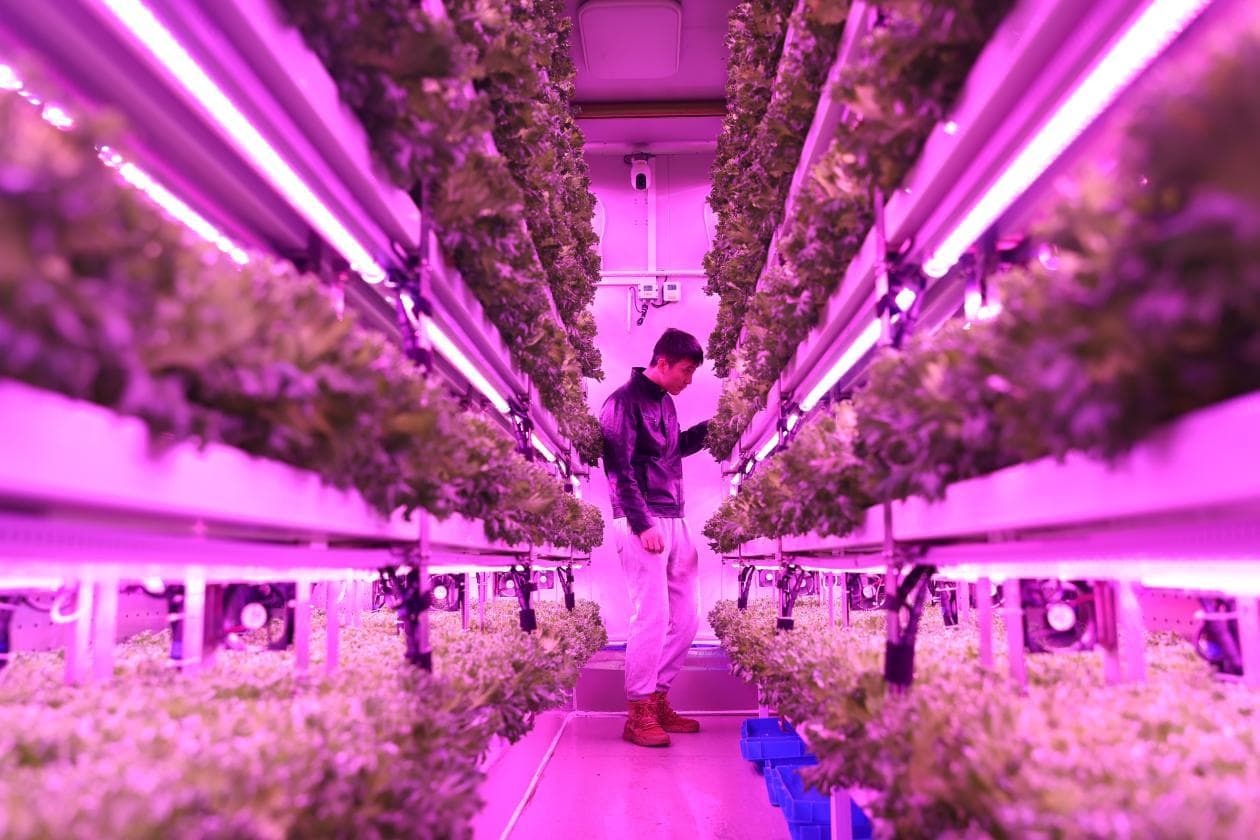 智慧农业的进化之路，拼多多做对了什么？