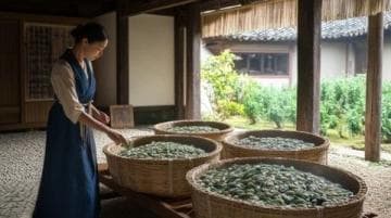 5天深度游潮汕：历史文化与美食之旅攻略