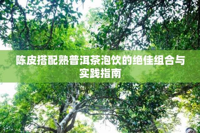 陈皮搭配熟普洱茶泡饮的绝佳组合与实践指南