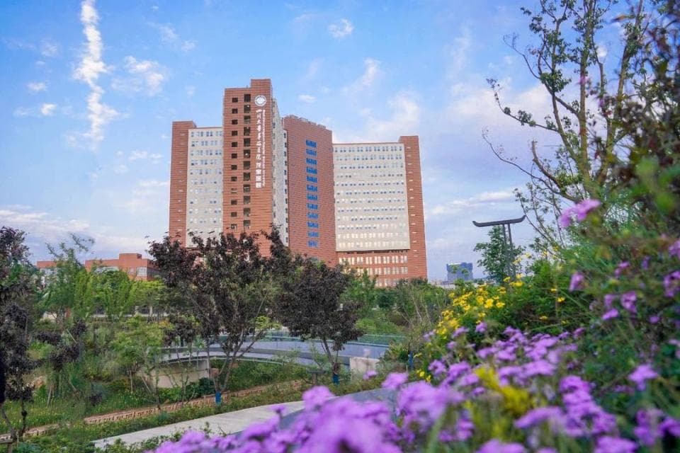 医共体显成效 龙泉驿区百姓“家门口就医”
