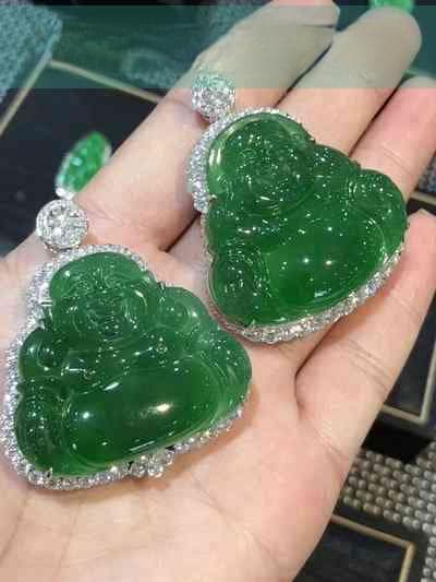 探秘黑色帝王花：独特之美与生态奥秘全解析