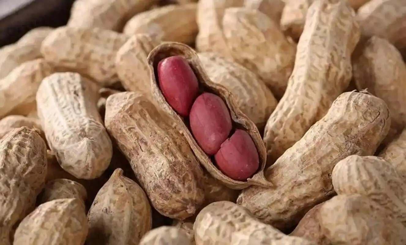 高血脂患者不能吃花生？医生：不止花生，这4物建议也要减少摄入