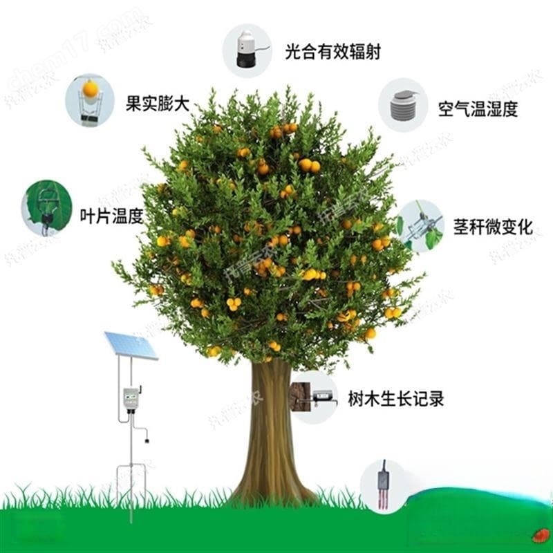 植物生理生态监测系统详细介绍