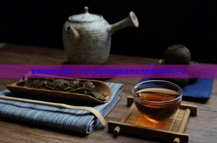 普洱茶选购全攻略：不同人群如何挑选最适合自己的茶叶品种与分量