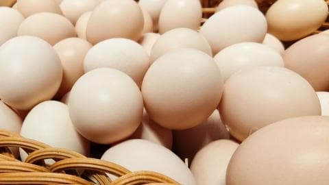 红薯的最佳搭配是什么