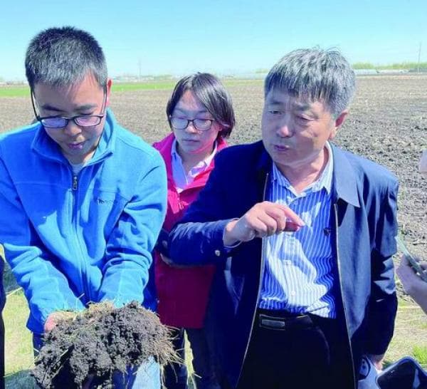 青春扎根黑土地 协力创新保粮仓