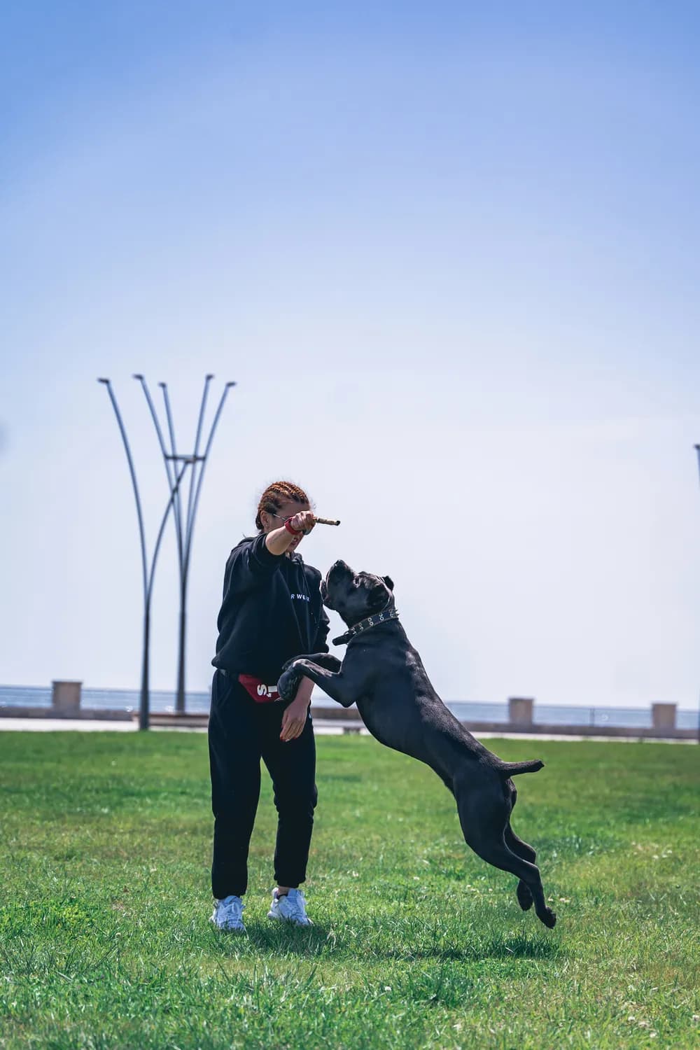 警花与警犬