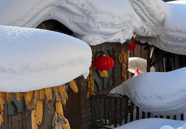 从北京出发去哈尔滨旅游五天要多少钱？哈尔滨旅游路线怎么安排划算？快收藏！