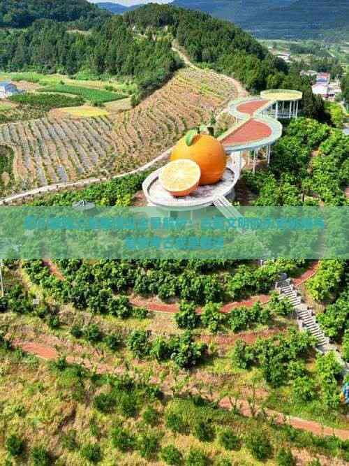 四川德阳三星堆遗址全景解析：古蜀文明的历史脉络与最新考古成果概述