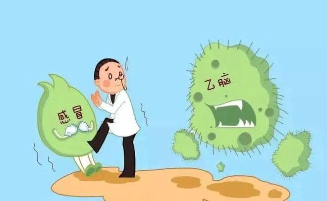 关于乙脑/乙脑疫苗，看这篇就够了（2024年）