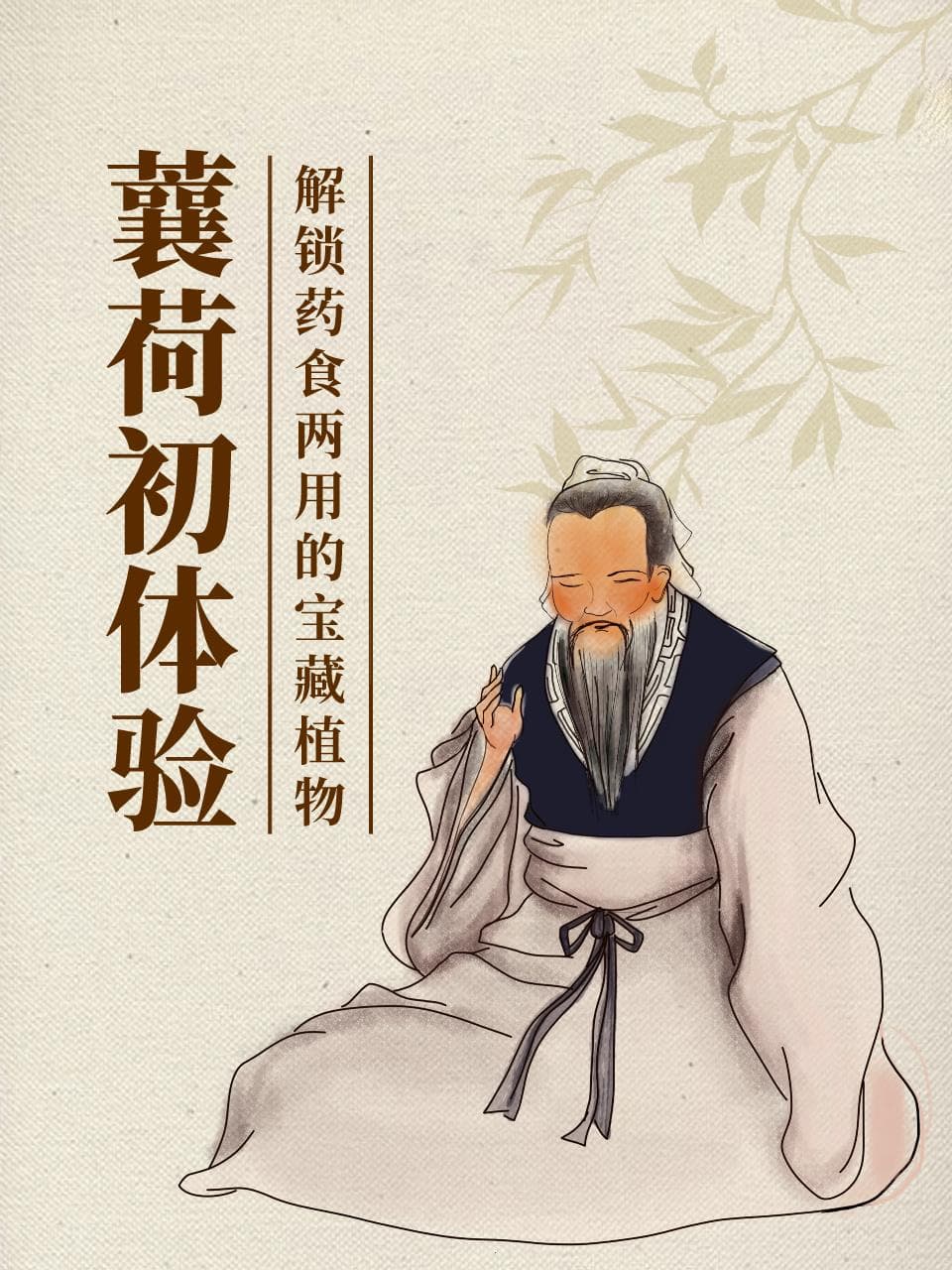 蘘荷初体验：解锁药食两用的宝藏植物