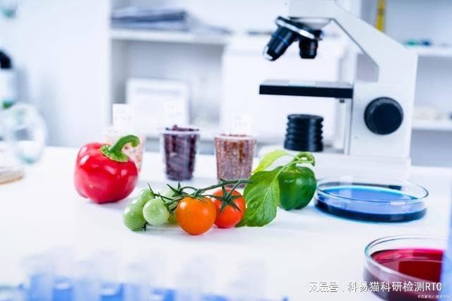 叶酸维生素B9检测：重要性、方法与保持平衡之道