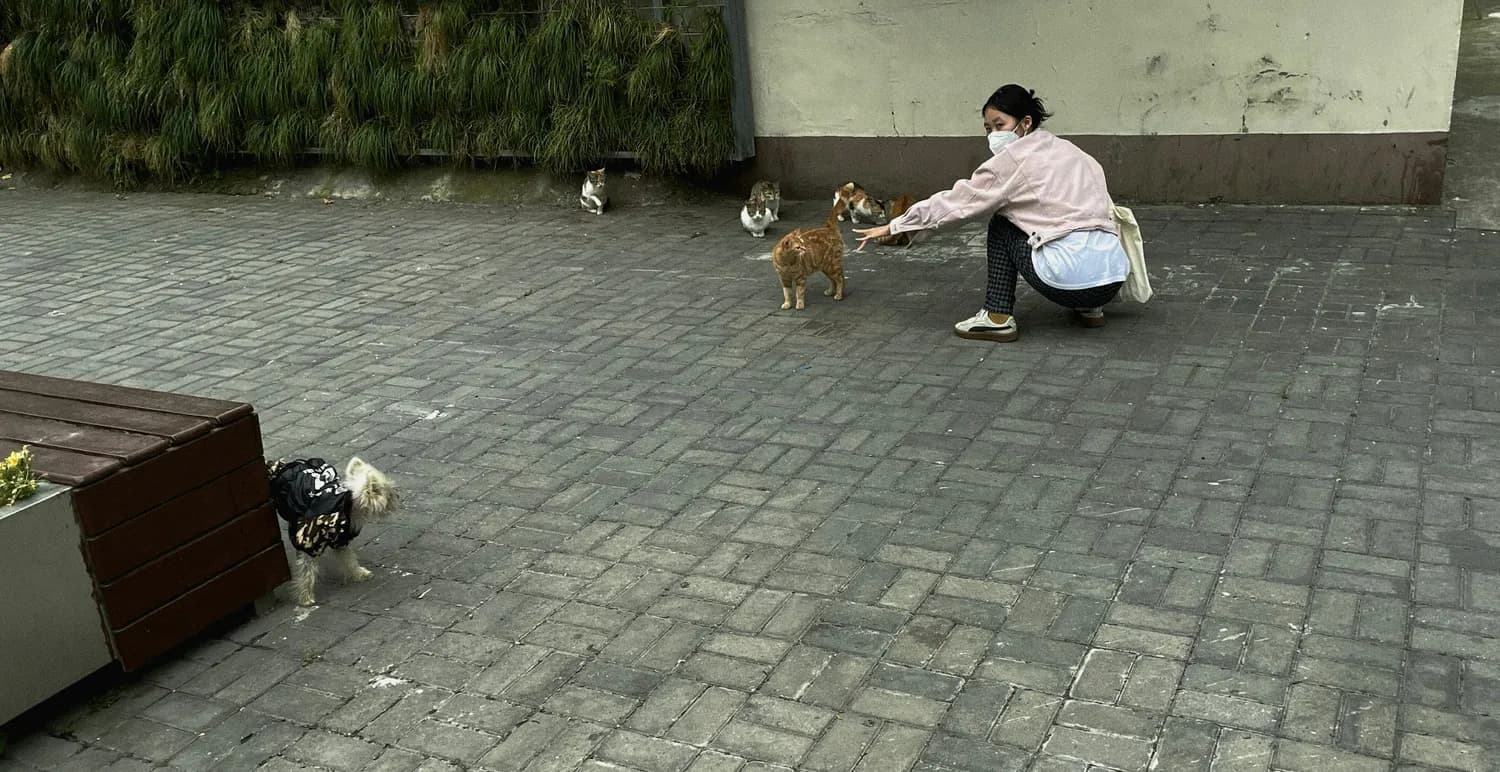 智祥法师：用理性与智慧守护9000只流浪猫狗
