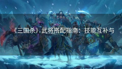 《三国杀》武将搭配指南：技能互补与身份判断