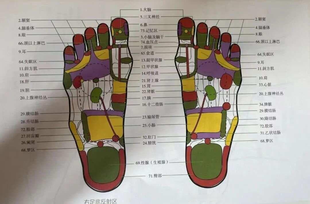 健足即健身！足部反射疗法，一把可以让每个人打开身心健康密码的金钥匙