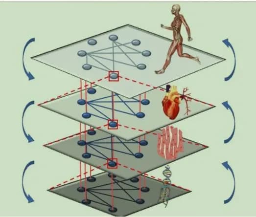 奥运赛场上的复杂科学：自组织、临界相变与涌现