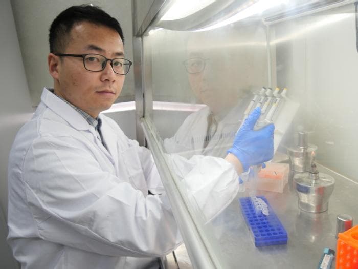 他们在大肠杆菌里造光合系统 实现“负碳”生物智造