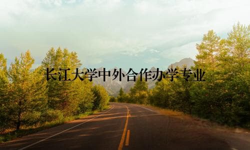 长江大学中外合作办学专业：开启国际化教育新篇章