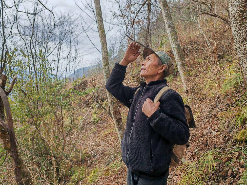 云南迪庆：守护“雪域精灵”滇金丝猴