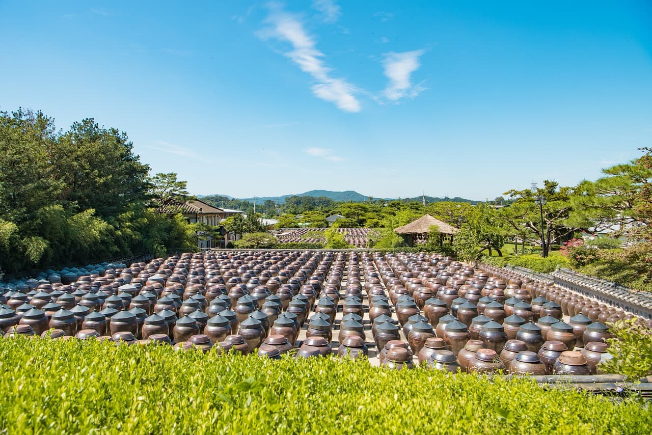 从死神到人性的探讨