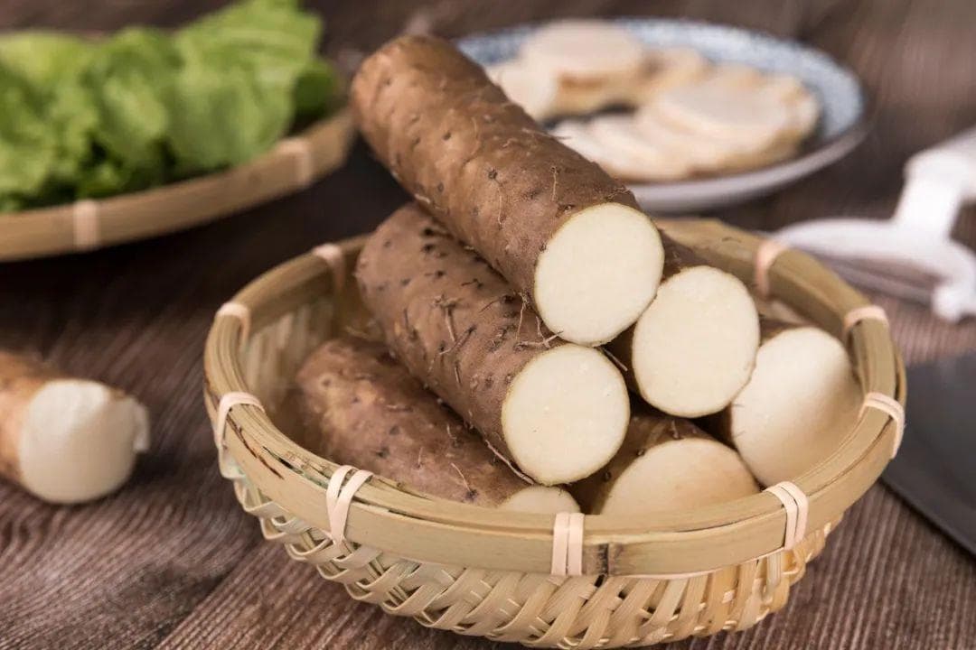 冬季养肺 吃好“五白”
