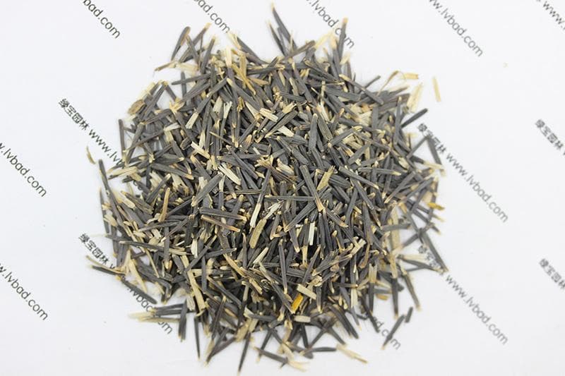 万寿菊种植技术和管理