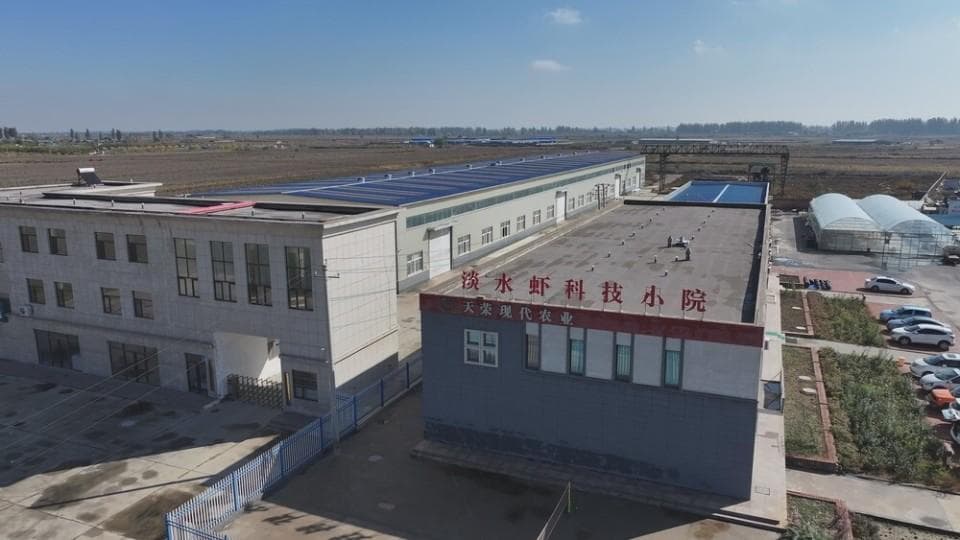 突破3000斤 南美白对虾在宁夏贺兰实现高密度工厂化养殖