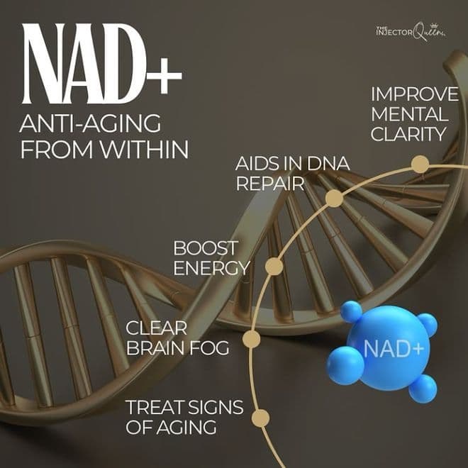 科学研究发现NAD可以使人体细胞保持活力并延缓衰老