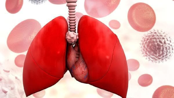 春季肺结节预防指南：5个简单习惯守护你的呼吸健康