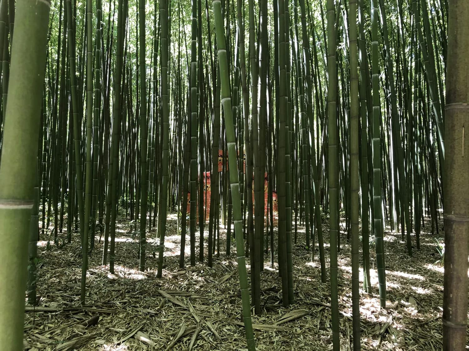 贾平凹推出新作，秦岭博物馆将落成，秦岭文化热持续升温