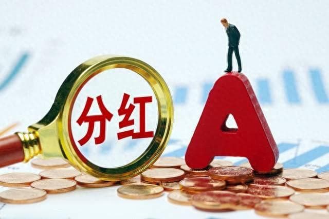 股市收益的双刃剑：分红与资本利得的平衡之道