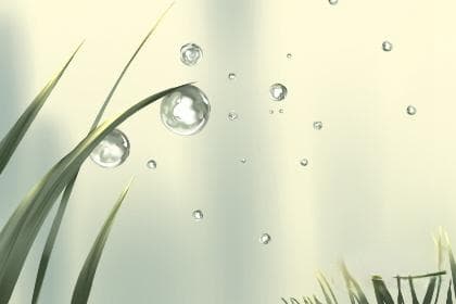 五行查询：丁火命如何补甲木